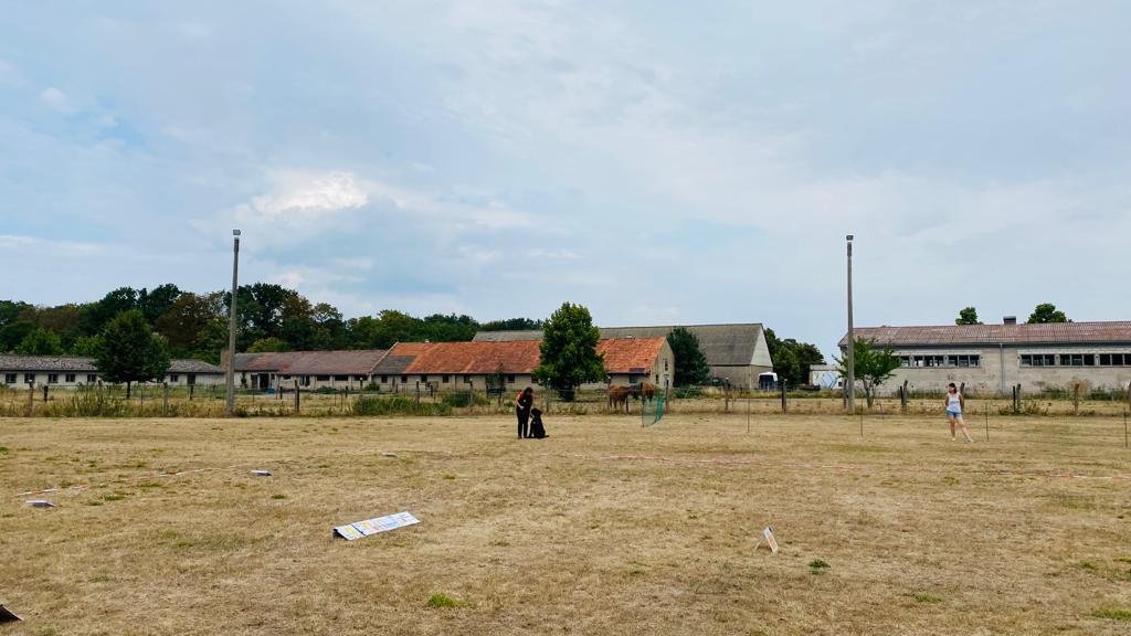 05801201-447a-4cfc-a690-b03d84a67ef1