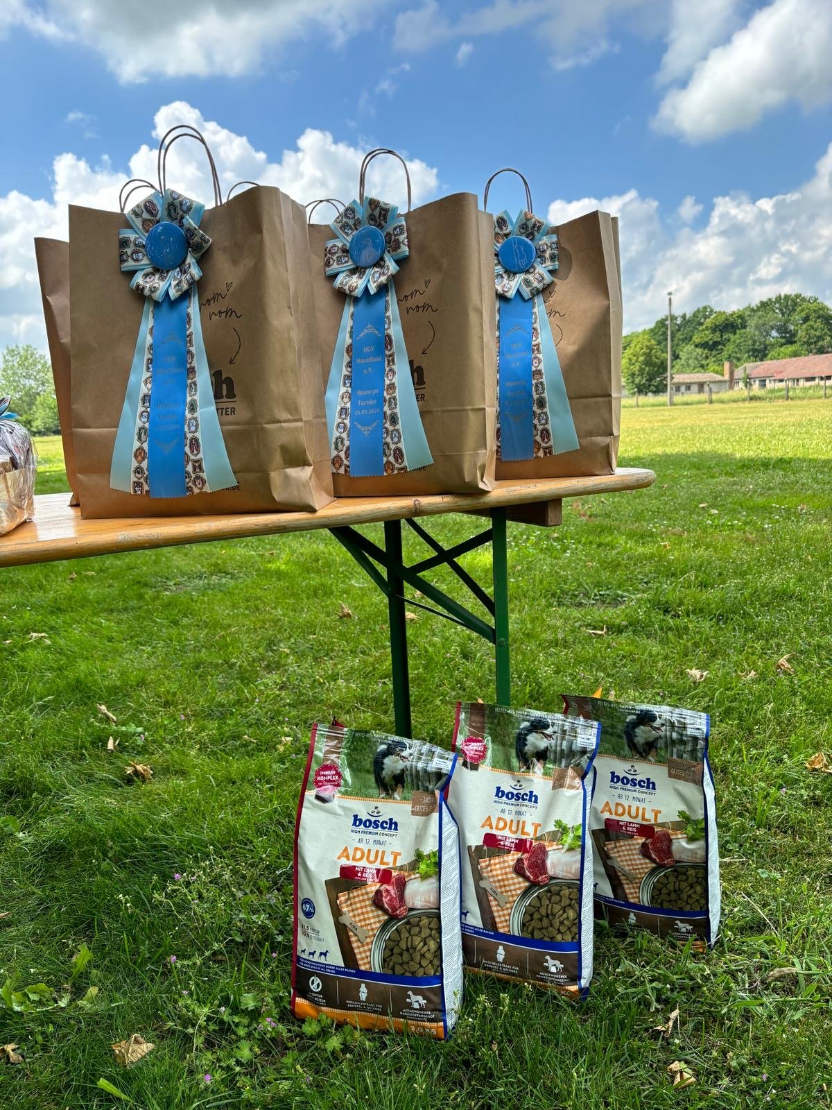 b3c3bd1c-5aab-4579-8464-c7e15312b4fa