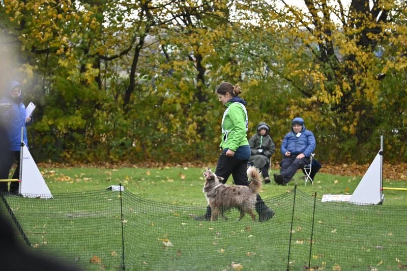 DHV%20DM%20RO%202025%20%283%29