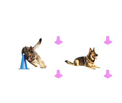 Esmee%20Box%20und%20Pylone%20transparentklein