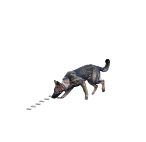 Gl%C3%B6ckchen%20suchen%20mit%20H%C3%B6lzer%20klein Gl%C3%B6ckchen%20suchen%20mit%20H%C3%B6lzer%20klein