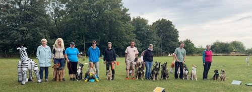 Gruppe