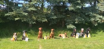 Gruppenbild