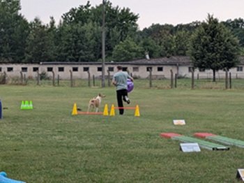 Hoffi