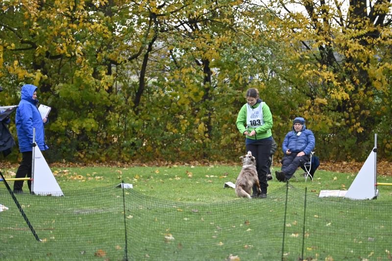 Klein%20DHV%20DM%20RO%202025%20%282%29 Klein%20DHV%20DM%20RO%202025%20%282%29