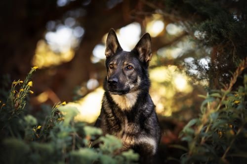 Klein%20Oprah1-Druck