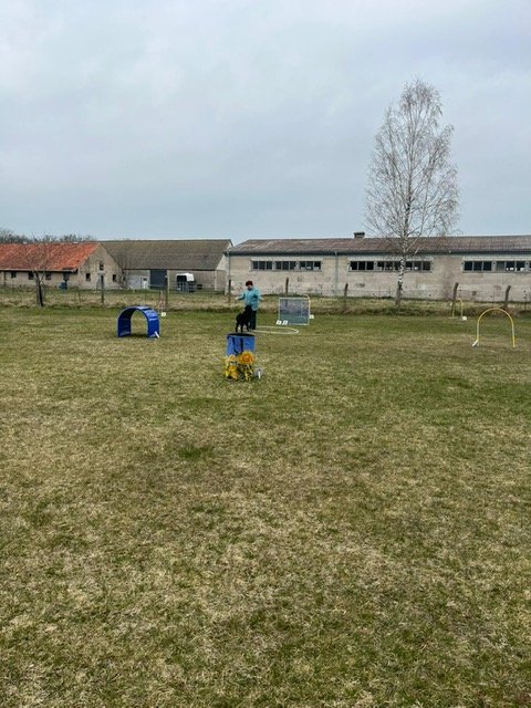 PHOTO-2022-03-28-14-23-29