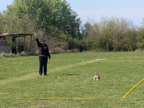 PXL_20260418_095403509