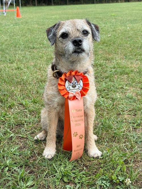 Stui Gewinner